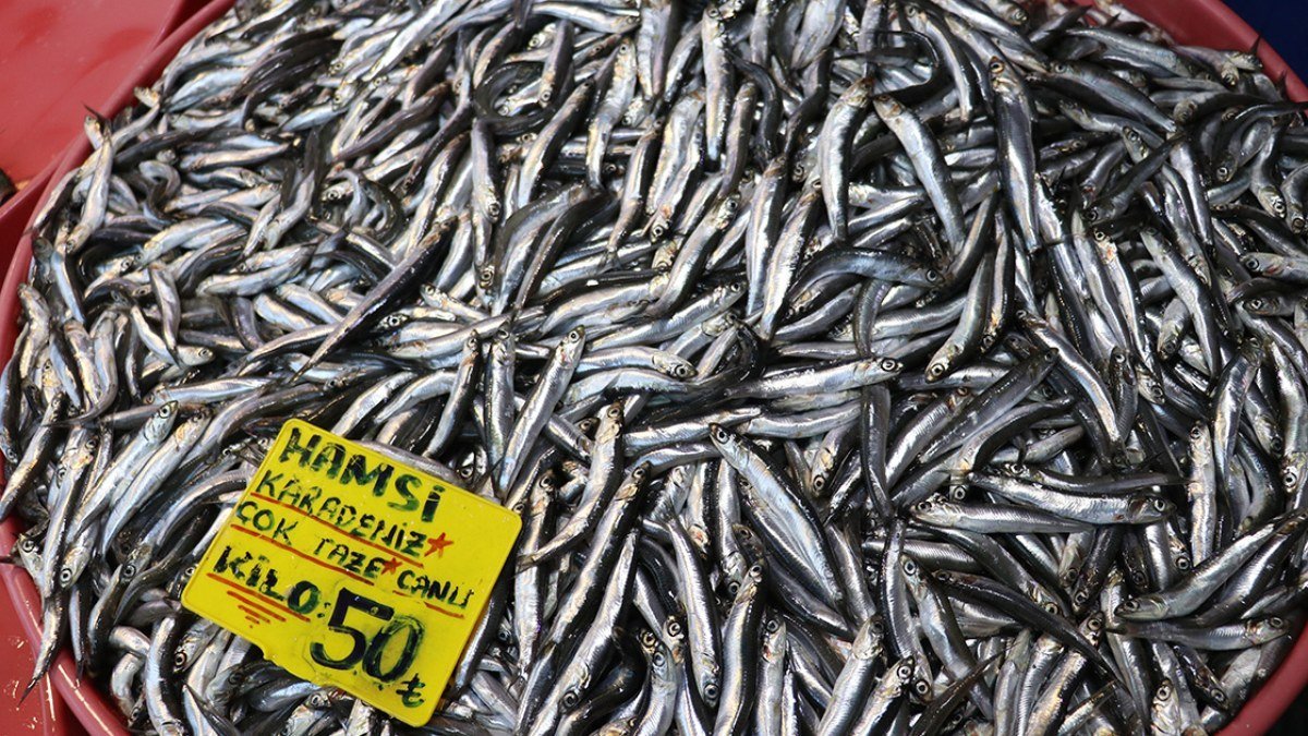 Marmara’da hamsi avcılığının yasaklanmasını sektör olumlu karşıladı