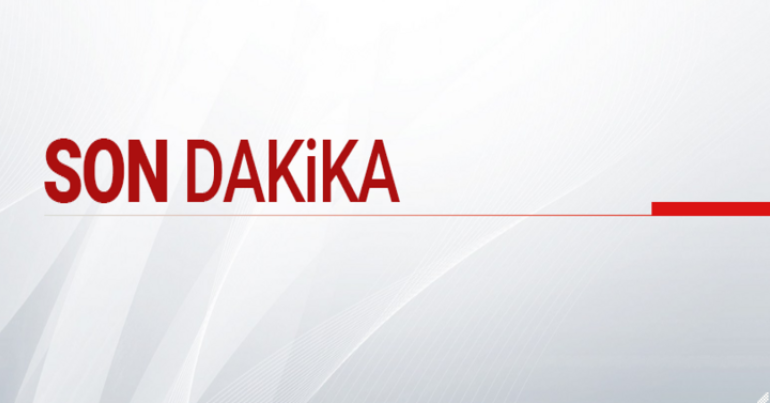 Boğa piyasası nedir, ne zaman, nasıl olur?